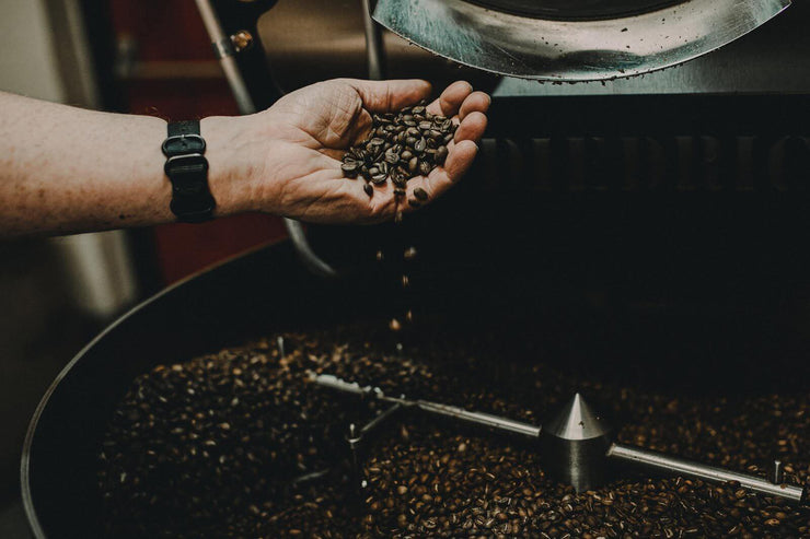 A hand pouring beans into our roaster