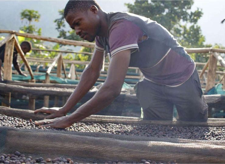 Manumit Ethical coffee roasted by survivors of slavery - Manumit Coffee Roasters